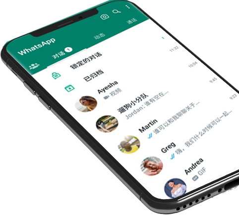 whatsapp国内版