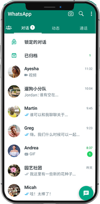 whatsapp国内版