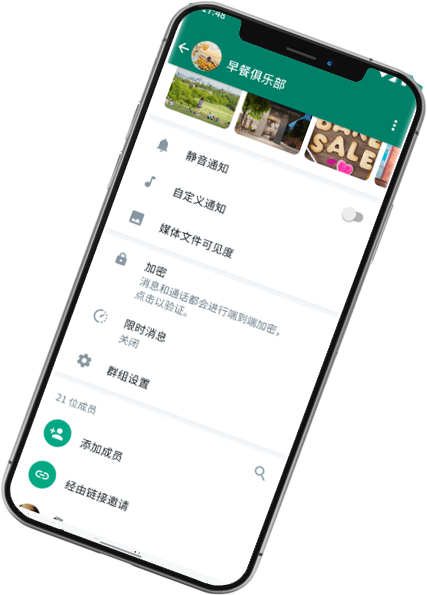 whatsapp国内版